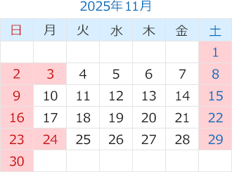 2024年11月